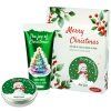 MERRY CHRISTMAS THE JOY PP
